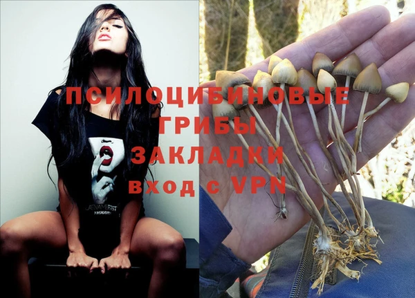 а пвп мука Новокубанск
