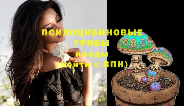 стафф Нея