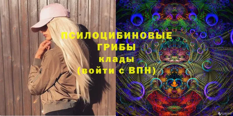 Псилоцибиновые грибы Psilocybe  блэк спрут как зайти  Починок 