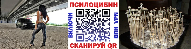 KRAKEN ССЫЛКА  Починок  Псилоцибиновые грибы мухоморы 